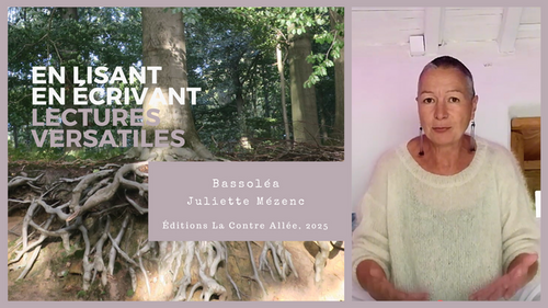 Impossible de lire la video