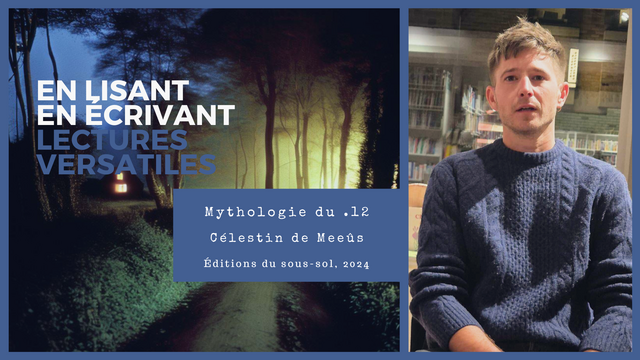 Impossible de lire la video