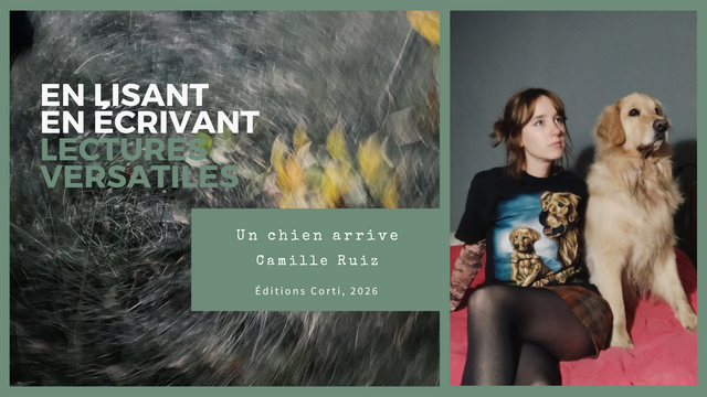 Impossible de lire la video