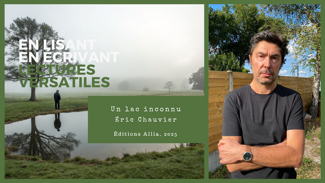 Impossible de lire la video